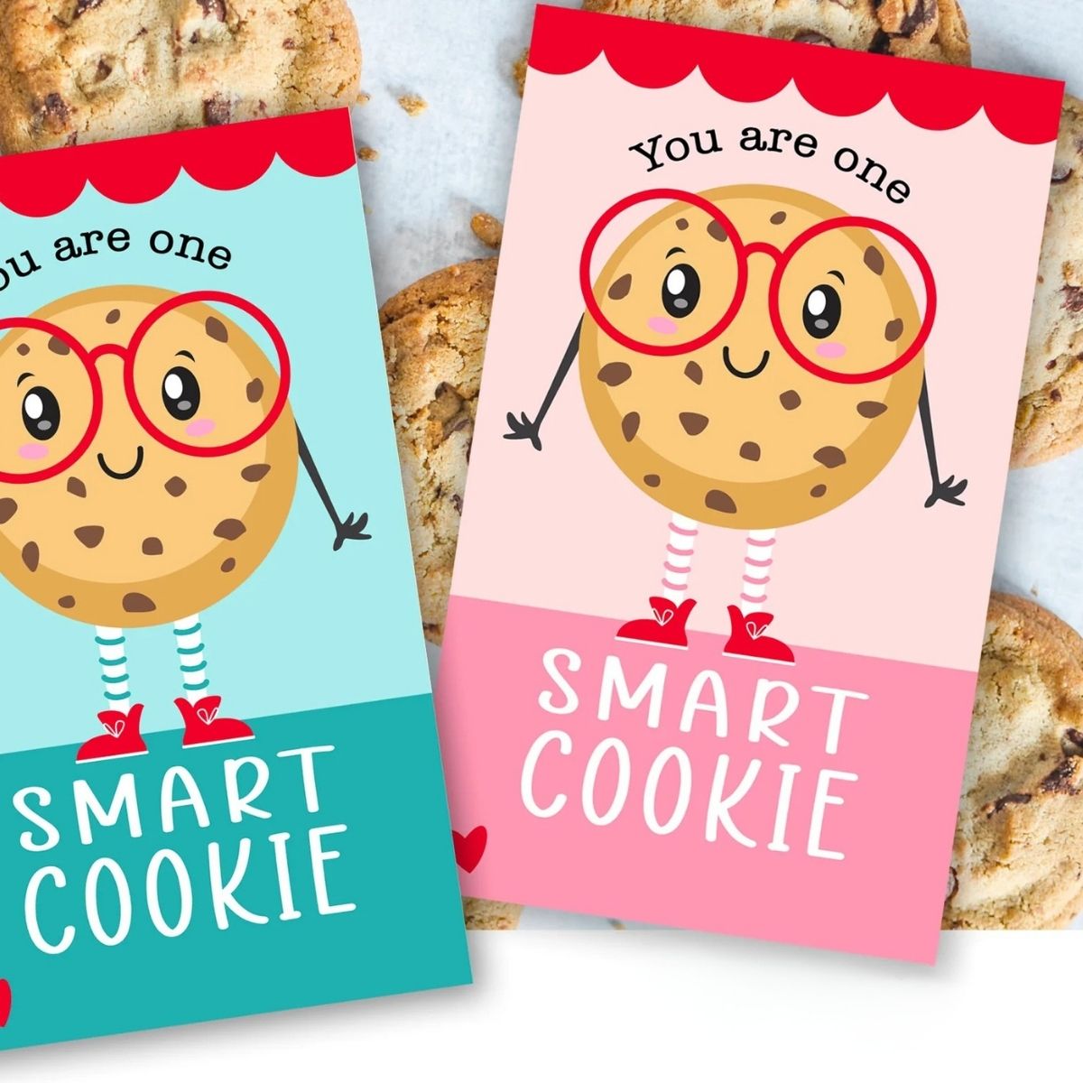 Personalized Biscuit Box Tags: Tips, Templates, and Expert Insights