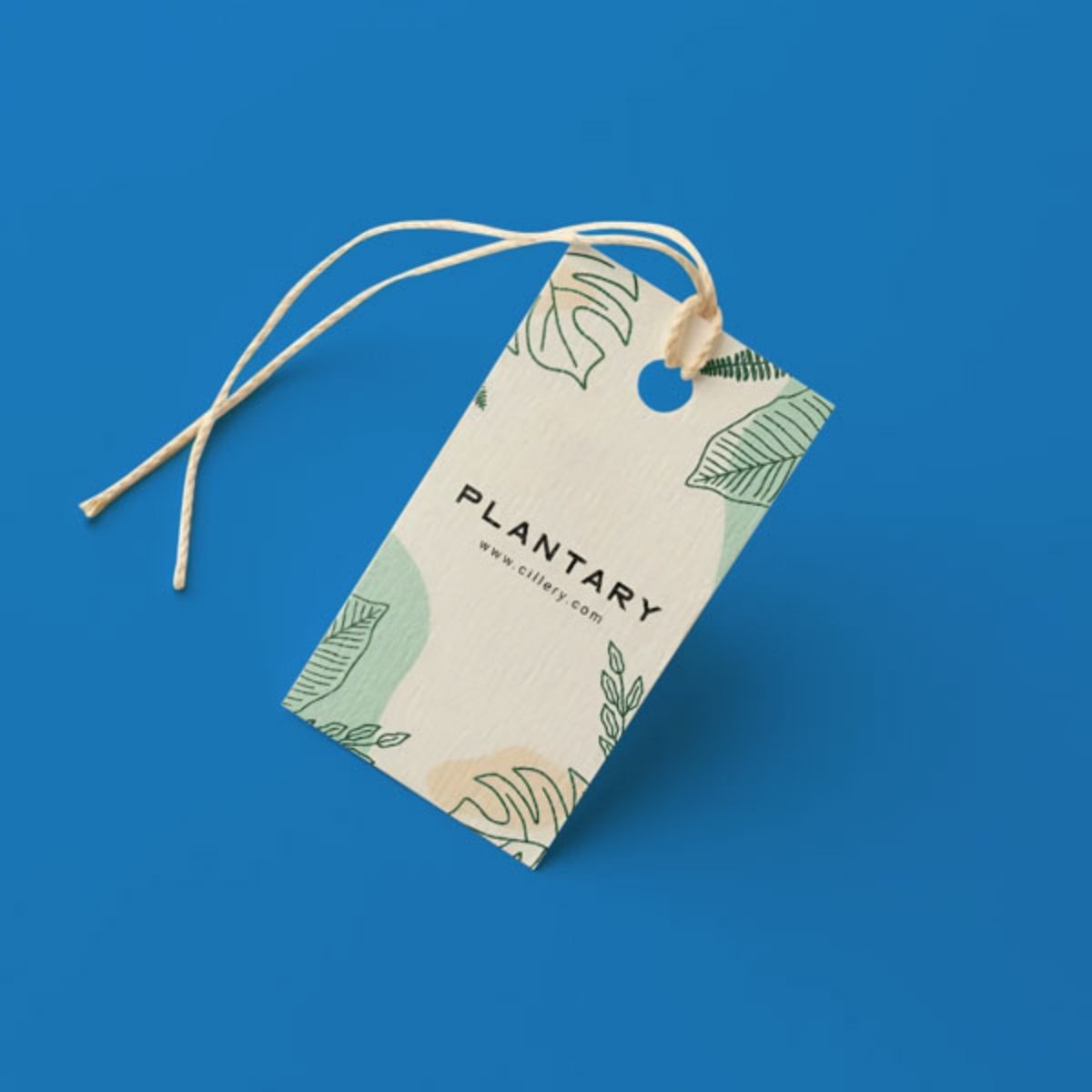 Everything You Need to Know About Limited Edition Tags and Their Value