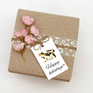 Gift Box Hang Tags