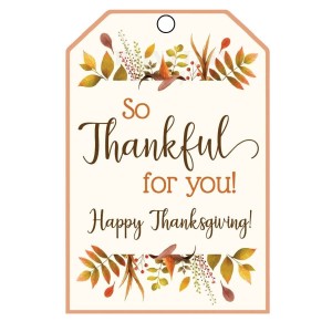 Thanks giving Tags