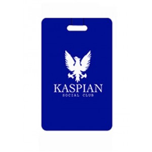 Rectangular Mini Squeeze Tags